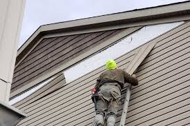 Best Siding Painting and Refinishing  in Fort Washakie, WY